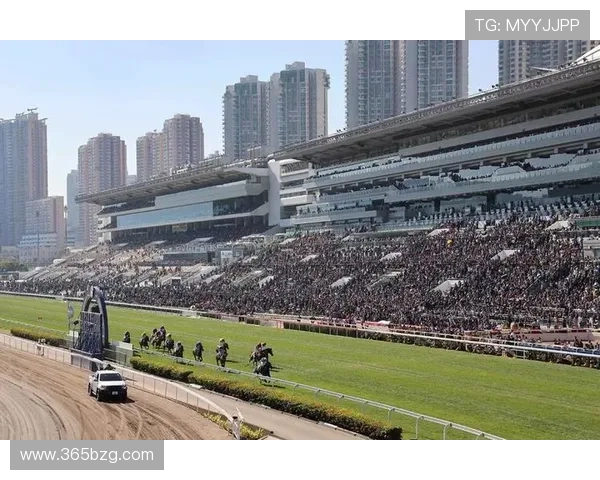 365日博国际首页提供可靠体育投注和线上娱乐体验,开启全年精彩赛事新纪元